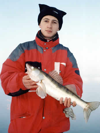 Д. Стребулаев